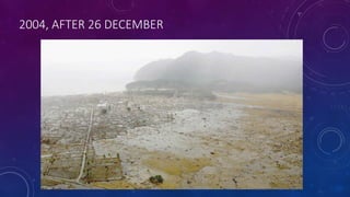 2004, AFTER 26 DECEMBER
 