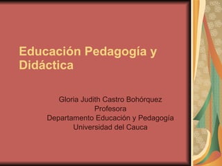 Educación Pedagogía y Didáctica   Gloria Judith Castro Bohórquez Profesora Departamento Educación y Pedagogía Universidad del Cauca 