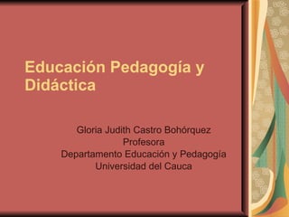 Educación Pedagogía y Didáctica   Gloria Judith Castro Bohórquez Profesora Departamento Educación y Pedagogía Universidad del Cauca 