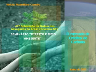 Vinicius Maximiliano Carneiro Junho de 2005 O mercado de Créditos de Carbono SEMINÁRIO “DIREITO E MEIO AMBIENTE”   47ª Sub...