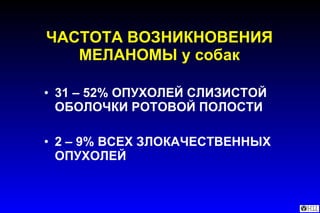 ЧАСТОТА ВОЗНИКНОВЕНИЯ МЕЛАНОМЫ у собак 31 – 52% ОПУХОЛЕЙ СЛИЗИСТОЙ ОБОЛОЧКИ РОТОВОЙ ПОЛОСТИ 2 – 9% ВСЕХ ЗЛОКАЧЕСТВЕННЫХ  ОПУХОЛЕЙ 