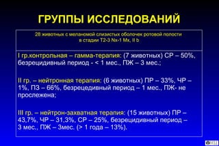 ГРУППЫ ИССЛЕДОВАНИЙ I  гр.контрольная – гамма-терапия:   (7 животных) СР – 50%, безрецидивный период -  <  1 мес., ПЖ – 3 мес.; II  гр. – нейтронная терапия:   (6 животных) ПР – 33%, ЧР – 1%, ПЗ – 66%, безрецедивный период – 1 мес., ПЖ- не прослежена; III  гр. – нейтрон-захватная терапия:   (15 животных) ПР – 43,7%, ЧР – 31,3%, СР – 25%, безрецидивный период –  3 мес., ПЖ – 3мес. ( >  1 года – 13%). 28 животных с меланомой слизистых оболочек ротовой полости  в стадии  T2-3 Nx-1 Mx, II b 