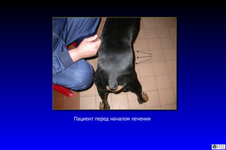 Пациент перед началом лечения 