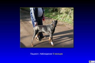 Пациент. Наблюдение  9 месяцев 