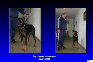 Состояние   пациента .  19.04.2005 