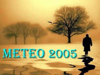 Meteo 2005
 