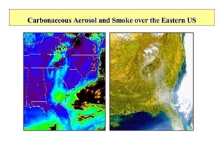 Carbonaceous Aerosol and Smoke over the Eastern US 