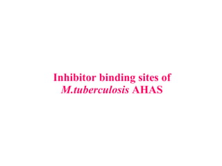 Inhibitor binding sites of  M.tuberculosis  AHAS 