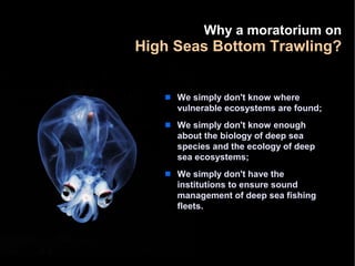Why a moratorium on
High Seas Bottom Trawling?


   s   We simply don't know where
       vulnerable ecosystems are found;...