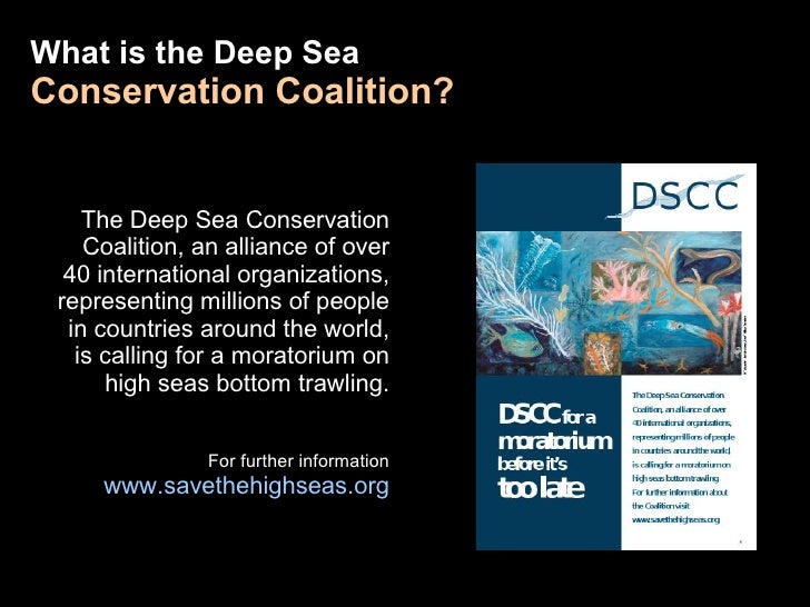 Initiatives to Protect the Deep Sea