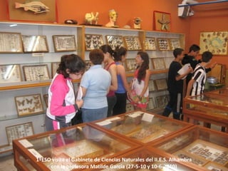 1ºESO visita el Gabinete de Ciencias Naturales del II.E.S. Alhambra
     con la profesora Matilde García (27-5-10 y 10-6-2010)
 