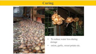 Curing
• To reduce water loss during
storage
• onion, garlic, sweet potato etc.
 