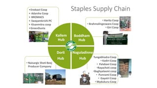 •Enebavi Coop
• Adarsha Coop
• BROMACS
• Swayamkrishi PC
• Kisanmitra coop
•GreenDunia
• Harita Coop
• Brahmalingeswara Coop
• Giri Coop
• Tungabhadra Coop
• Kadiri Coop
• Palabavi Coop
•Rayachoti coop
•Baghyalaxmi coop
• Punnami Coop
• Gayatri Coop
• Mydukuru Coop
• Naisargic Sheti Beej
Producer Company
Kallem
Hub
Boddham
Hub
Dorli
Hub
Naguladinne
Hub
Staples Supply Chain
 