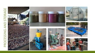 52
PROCESSINGANDSTORAGE
 