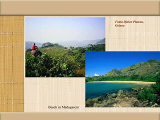 Fouta Djalon Plateau,
Guinea
Beach in Madagascar
 