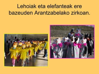 Lehoiak eta elefanteak ere bazeuden Arantzabelako zirkoan. 