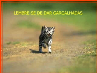 LEMBRE-SE DE DAR GARGALHADAS 