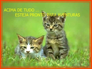 ACIMA DE TUDO …  ESTEJA PRONTO PARA AVENTURAS 