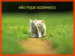 NÃO FIQUE SOZINHA(O) 