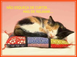 NÃO ESQUEÇA DE CURTIR...  MAS DE RELAXAR...   