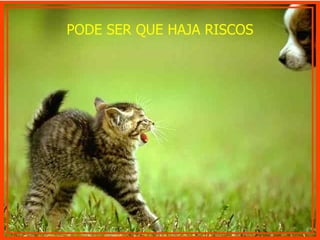 PODE SER QUE HAJA RISCOS 