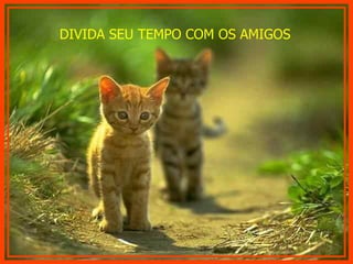 DIVIDA SEU TEMPO COM OS AMIGOS 