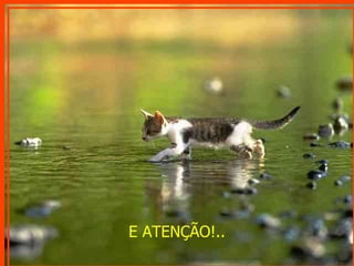 E ATENÇÃO!.. 