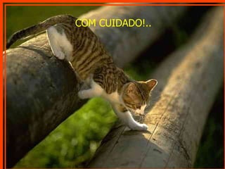 COM CUIDADO!.. 