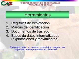 Herramientas
1.    Registros de explotación
2.    Marcas de identificación
3.    Documentos de traslado
4.    Bases de datos informatizadas
      (explotaciones y movimientos)

     Sistemas más o menos complejos según los
         objetivos que se pretenden en cada caso
 