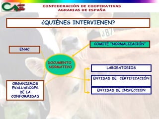 ¿QUIÉNES INTERVIENEN?


                             COMITÉ “NORMALIZACIÓN”
   ENAC


               DOCUMENTO
               NORMATIVO          LABORATORIOS


                            ENTIDAD DE CERTIFICACIÓN
ORGANISMOS
EVALUADORES
                              ENTIDAD DE INSPECCION
   DE LA
CONFORMIDAD
 
