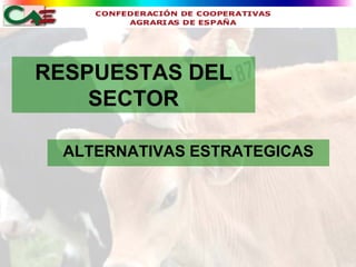 RESPUESTAS DEL
    SECTOR

 ALTERNATIVAS ESTRATEGICAS
 
