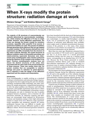 When X-rays modify the protein
structure: radiation damage at work
Oliviero Carugo1,2
and Kristina Djinovic´ Carugo3
1
Department of General Chemistry, University of Pavia, Via Taramelli 12, 27100 Pavia, Italy
2
National Laboratory TASC, INFM, Area Science Park Basovizza, 34012 Basovizza, Trieste, Italy
3
Max F. Perutz Laboratories, University Departments at Vienna Biocenter, Institute for Biomolecular Structural Chemistry,
University of Vienna, Campus Vienna Biocenter 6/1, Rennweg 95b, A-1030 Vienna, Austria
The majority of 3D structures of macromolecules are
currently determined by macromolecular crystallogra-
phy, which employs the diffraction of X-rays on single
crystals. However, during diffraction experiments, the
X-rays can damage the protein crystals by ionization
processes, especially when powerful X-ray sources at
synchrotron facilities are used. This process of radiation
damage generates photo-electrons that can get trapped
in protein moieties. The 3D structure derived from such
experiments can differ remarkably from the structure of
the native molecule. Recently, the crystal structures of
different oxidation states of horseradish peroxidase and
nickel-containing superoxide dismutase were deter-
mined using crystallographic redox titration performed
during the exposure of the crystals to the incident X-ray
beam. Previous crystallographic analyses have not
shown the distinct structures of the active sites
associated with the redox state of the structural features
of these enzymes. These new studies show that, for
protein moieties that are susceptible to radiation
damage and prone to reduction by photo-electrons,
care is required in both the design of the diffraction
experiment and the analysis and interpretation.
Introduction
X-ray crystallography is rapidly evolving as a standard
technique in biochemistry and molecular biology. Impress-
ive progress has been made during the past two decades,
including recombinant-DNA technology and other tech-
niques for sample preparation, computational procedures
to solve the phase problem (see Glossary) and reﬁne 3D
structures, and tunable synchrotron beam lines to collect
diffraction data [1]. Crystallography is becoming a source
of information not only to interpret but also to predict
biological features of proteins, such as function [2] and
interaction networks [3]. Sequence analyses and data-
bases are increasingly being replaced by 3D-structure
analyses and databases owing to their high information
content at atomic level [4,5]. However, large macromol-
ecular assemblies and membrane proteins [6] remain
problematic because they are difﬁcult to handle and
crystallize and the necessary diffraction quality is often
difﬁcult to obtain. Several structural genomics initiatives
have been launched with the dual aim of determining the
3D structures of entire proteomes [7,8] and of developing
new technologies to enable high-throughput analyses
[9,10]. Use of synchrotron X-ray sources has made a
collection of extremely good diffraction data available,
which might result in detailed stereochemical character-
izations of the proteins: in a few cases, when atomic
resolutions (1.2 A˚ or better) are reached [11], very detailed
3D structural information can be obtained.
More than ten years ago, Henderson estimated that a
crystal cryo-cooled at 77 K would survive approximately
one day in an X-ray beam at a second generation
synchrotron facility and ﬁve years on a rotating anode
source, corresponding to an absorbed dose of 2!107
Gy
[12]. Because the X-ray beams generated at modern
synchrotron facilities deliver such a dose in standard
data-collection experiments [13], radiation damage is a
prominent issue in modern structural biology, and X-ray
beams at synchrotron radiation facilities often need to be
attenuated or defocused [14].
Several papers have been published on the observation
of radiation damage during the diffraction experiments
[15–18] and on the possible use of the radiation damage
itself to determine the crystal structures of biological
macromolecules (radiation-damage-induced phasing) [19].
However,experimentalartefactsarestillpossibleandcanbe
caused by the interaction between the incident X-ray
photons and the molecules from which the crystals are built.
A special case of radiation damage is photo-reduction of
metals in metalloproteins. Photo-reduction of metals in
proteins and of free metal ions in an aqueous solution was
studied by extended X-ray absorption ﬁne structure
(EXAFS) and by X-ray absorption near-edge structure
(XANES) [20–24], which showed that these events take
place when samples are irradiated with intense X-ray
beams. The stereochemistry of a metal centre, which
accepts electrons emitted by the protein and the solvent
atoms in the crystal as a consequence of their excitation by
the intense incident X-ray beam, cannot be determined by
routine crystallographic experiments [25]. A protein
moiety is progressively reduced during the data collection
and the resulting 3D model can be considerably different
from the native structure.
A modiﬁcation of the standard X-ray diffraction data-
collection procedures has had recent success [25] – it
Corresponding authors: Carugo, O. (carugo@tasc.infm.it), Carugo, K.D.
(kristina.djinovic@univie.ac.at).
Available online 8 March 2005
Review TRENDS in Biochemical Sciences Vol.30 No.4 April 2005
www.sciencedirect.com 0968-0004/$ - see front matter Q 2005 Elsevier Ltd. All rights reserved. doi:10.1016/j.tibs.2005.02.009
 