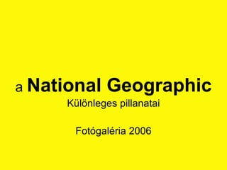 a  National Geographic Különleges pillanatai Fotógaléria 2006 