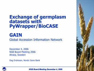 Exchange of germplasm datasets with PyWrapper/BioCASE GAIN Global Accession Information Network December 4, 2006 NGB Board Meeting 2006 Alnarp, Sweden Dag Endresen, Nordic Gene Bank 