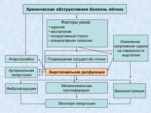 как влияет конопли на сперматозоиды как влияет конопли на сперматозоиды