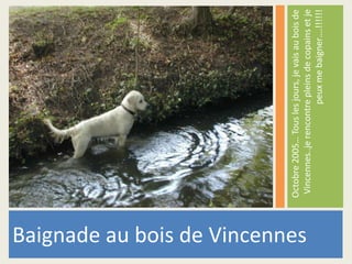 Octobre 2005… Tous les jours, je vais au bois de 
Vincennes..je rencontre pleins de copains et je 
peux me baigner….!!!!!! 
Baignade au bois de Vincennes 
 