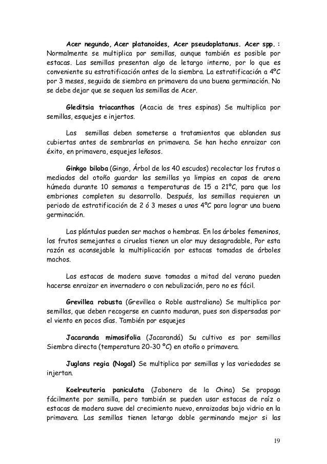 Como dejar fumar al embarazo de 14 semanas