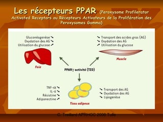 Les récepteurs PPAR                      (Peroxysome Profilerator
Activated Receptors ou Récepteurs Activateurs de la Prolifération des
                        Peroxysomes Gamma)




                      C. Treillard APRHOC 2006 Tulle
 