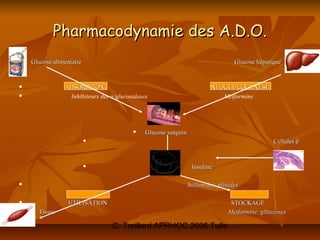 Pharmacodynamie des A.D.O.
   Glucose alimentaire                                                           Glucose hépatique


               ABSORPTION                                               NEOGLUCOGENESE
                Inhibiteurs des α glucosidases                             Metformine




                                             Glucose sanguin
                                                                                                Cellules β


                                                                Insuline

                                                               Sulfamides, glinides

                UTILISATION                                                     STOCKAGE
     Tissus                                                                    Metformine, glitazones

                                 C. Treillard APRHOC 2006 Tulle
 