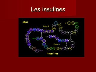 Les insulines
 