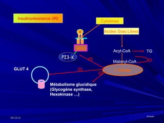 Insulinorésistance (IR)
                                                Cytokines

                                        i        Acides Gras Libres



                                       IRS1
                                                      Acyl-CoA        TG
                               PI3-K
                                                      Malonyl-CoA
  GLUT 4                                               Citrate


                       Métabolisme glucidique
                       (Glycogène synthase,
                       Hexokinase …)




                                                                      JPHaulot
03/12/12
 