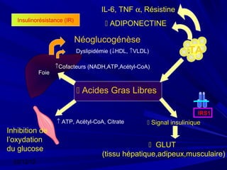 IL-6, TNF α, Résistine
   Insulinorésistance (IR)
                                        ADIPONECTINE

                             Néoglucogénèse
                             Dyslipidémie (↓HDL, ↑VLDL)              TA
                    ↑Cofacteurs (NADH,ATP,Acétyl-CoA)
             Foie


                              Acides Gras Libres

                                                                         IRS1
                    ↑ ATP, Acétyl-CoA, Citrate         Signal insulinique
Inhibition de
l’oxydation
                                                     GLUT
du glucose
                                      (tissu hépatique,adipeux,musculaire)
  03/12/12
 