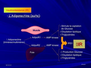 Insulinorésistance (IR)

   - L’Adiponectine (suite):


                                                    - Stimule la captation
                                                      de Glucose
                              Muscle
                                                    -Oxydation lipidique
                                                    -Triglycérides
                             AdipoR1   AMP kinase
     Adiponectine
(trimères/multimères)
                             AdipoR2   AMP kinase
                                                           IRS1
                                                                    IR
                            Foie                    - Production Glucose
                                                    -Oxydation lipidique
                                                    -Triglycérides

                                                                             JPHaulot
  03/12/12
 