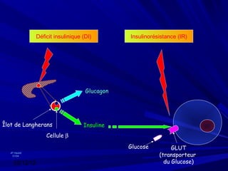 Déficit insulinique (DI)       Insulinorésistance (IR)




                                   Glucagon
                                   Glucagon




Îlot de Langherans                 Insuline
                   Cellule β
                                              Glucose         GLUT
                                                         (transporteur
  JP Haulot
    01/04


    03/12/12                                               du Glucose)
 