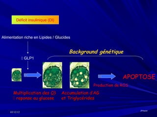 Déficit insulinique (DI)



Alimentation riche en Lipides / Glucides


                                        Background génétique
                 GLP1



                                                                 APOPTOSE
                                                   Production de ROS

       Multiplication des Çβ         Accumulation d’AG
        reponse au glucose          et Triglycérides

                                                                       JPHaulot
     03/12/12
 