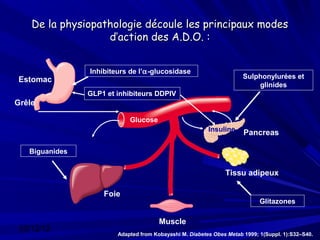 De la physiopathologie découle les principaux modes
                   d’action des A.D.O. :


                Inhibiteurs de l’α-glucosidase
Estomac                                                               Sulphonylurées et
                                                                          glinides
                GLP1 et inhibiteurs DDPIV
Grêle

                            Glucose
                                                         Insuline     Pancreas

   Biguanides


                                                               Tissu adipeux

                    Foie
                                                                            Glitazones

                                       Muscle
 03/12/12
                        Adapted from Kobayashi M. Diabetes Obes Metab 1999; 1(Suppl. 1):S32–S40.
 