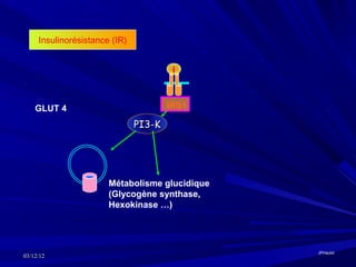 Insulinorésistance (IR)


                                        i



    GLUT 4                             IRS1

                               PI3-K




                       Métabolisme glucidique
                       (Glycogène synthase,
                       Hexokinase …)




                                                JPHaulot
03/12/12
 