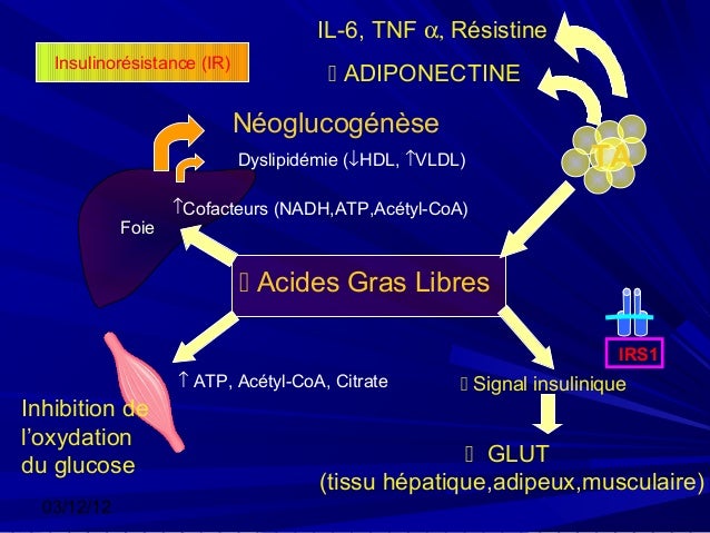Physiopathologie du diabetes gestationnel pdf