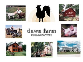 dawn farm FINDING RECOVERY 