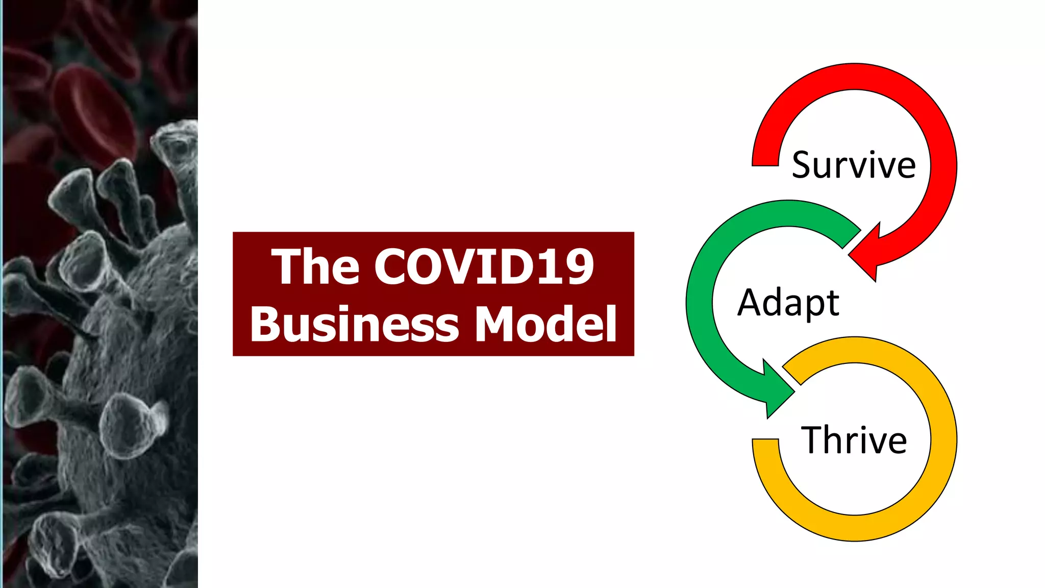 Slide 5
